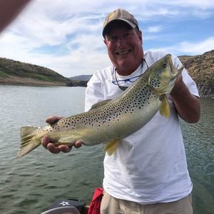 Meet your Posher, William bill